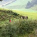 DSC08879