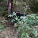 DSC08963