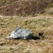 Trekkingturnier2016_150